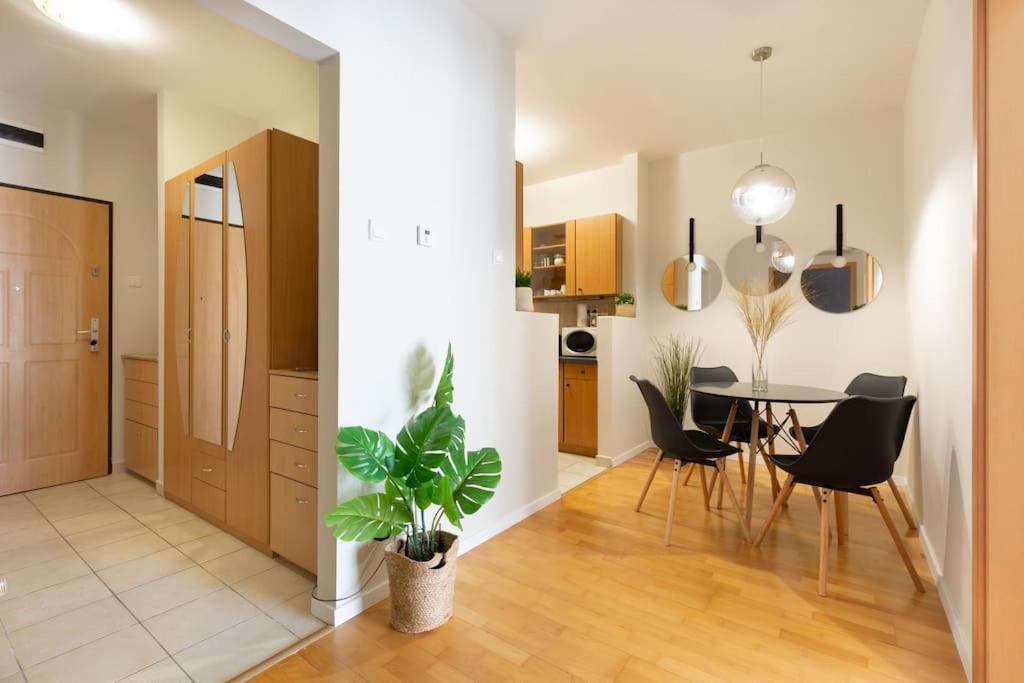 Apartman S22